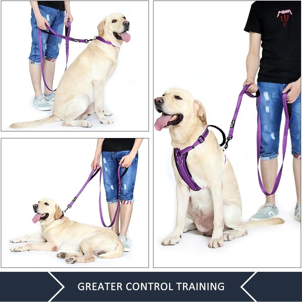Dog Leash Traffic Padded Two Handle Heavy Duty Double Handles Lead for Control Safety Training Leashes for Large Dogs or Medium Dogs Dual Handles Leads Walmart
