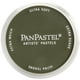 Panpastel Ultra Doux Artiste Pastel 9ml-Brillant Jaune Vert Extra Foncé – image 1 sur 1