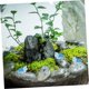 thumbnail image 5 of 10 Uds. De decoración de tortugas de plástico, accesorios para casa de muñecas, miniaturas de jardines de hadas, decoración de tortugas en miniatura, fiesta en el océano, 5 of 5
