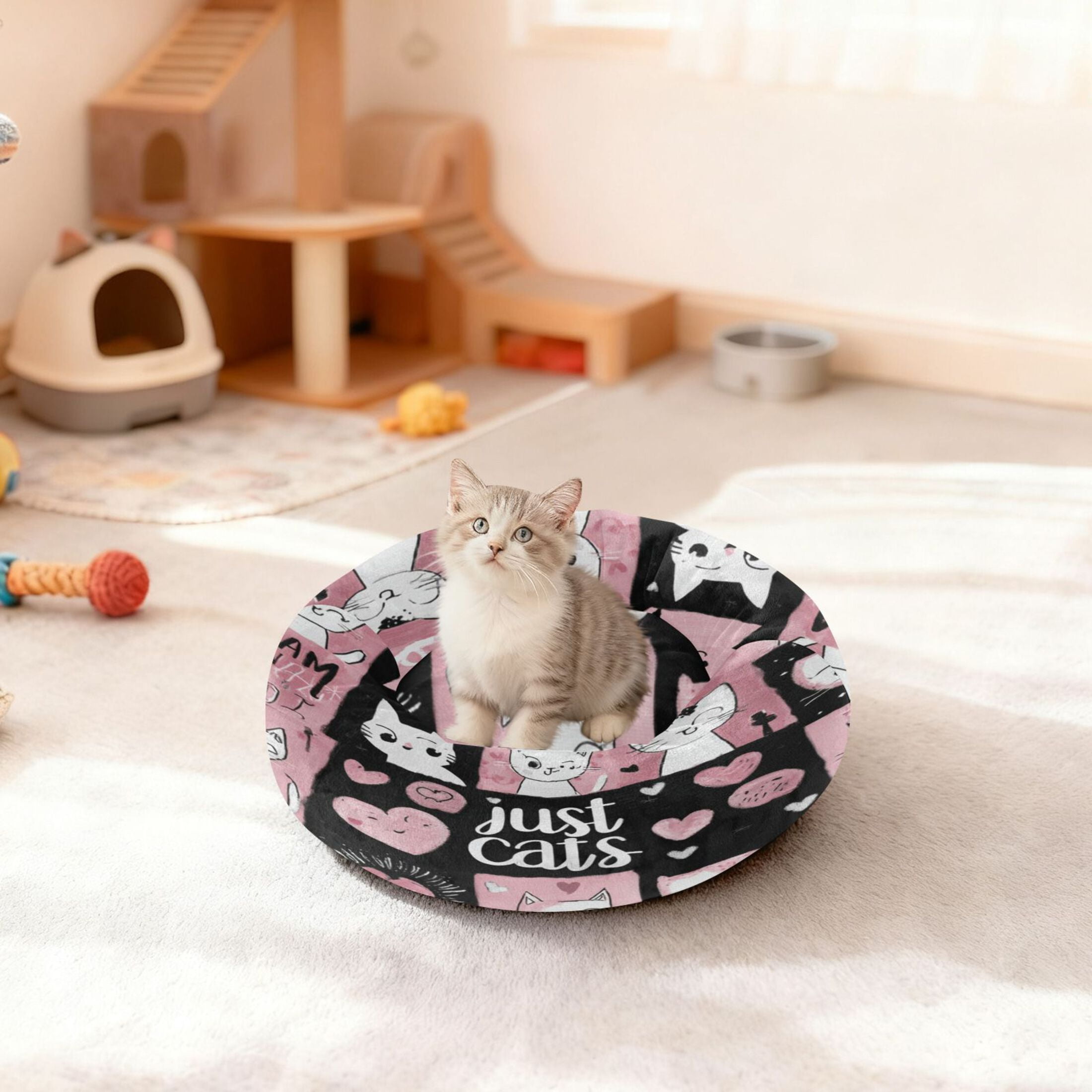 Iauyy Pet Couch Donut Cat Bed for Indoor Cats/Small Dogs Washable & Machine with Non-slip Bottom Calming Cat Furniture, All Kinds Of Kittens (M)