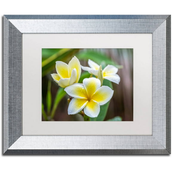 Trademark Fine Art 'Plumeria in the Rain' Canvas Art by Pierre Leclerc, White Matte, Silver Frame