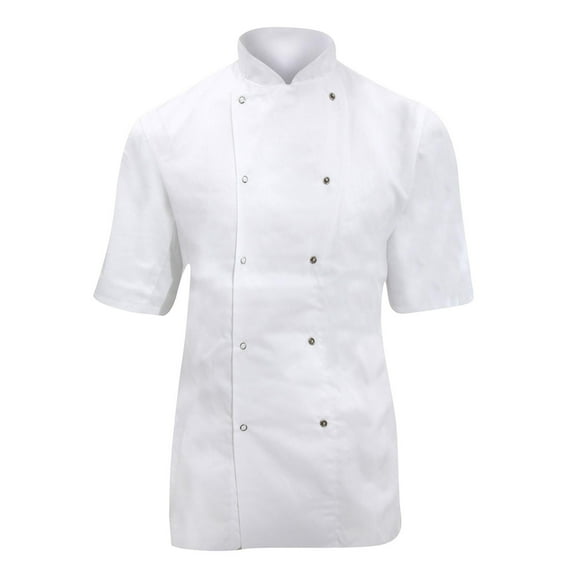 Dennys Womens Lightweight Short Sleeve Chefs Jacket / Chefswear (Pack of 2)