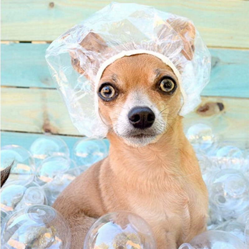 Dog shower cap hotsell