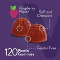 thumbnail image 4 of VITEEY Womens Multivitamin Gummies, Immune Support, Raspberry Flavor, 60 Count, 2 Pack, 4 of 7