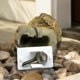 thumbnail image 5 of Caja de almacenamiento de llaves con piedras simuladas, forma de piedras disfrazadas, dinero privado oculto, caja de almacenamiento de llaves, cajas de almacenamiento de plástico, 5 of 6