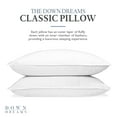 thumbnail image 3 of Down Dreams Manchester Mills Classic Firm Queen Pillows  2-Pack, 3 of 5