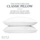 thumbnail image 3 of Pillow Down Dreams Manchester Mills Classic Queen Firm, paquete de 2, 3 of 9