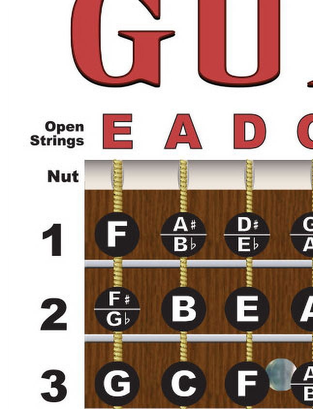 Laminated Guitar Chord Fretboard and Note Chart, Qatar | Ubuy