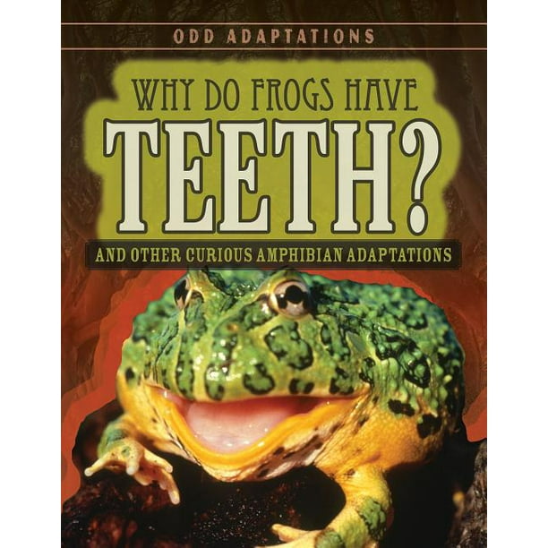 Why Do Frogs Have Teeth? And Other Curious Amphibian Adaptations