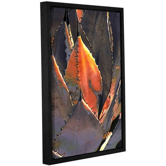 ArtWall Linda Parker "Agave Sunset" Gallery-wrapped Floater-framed Canvas