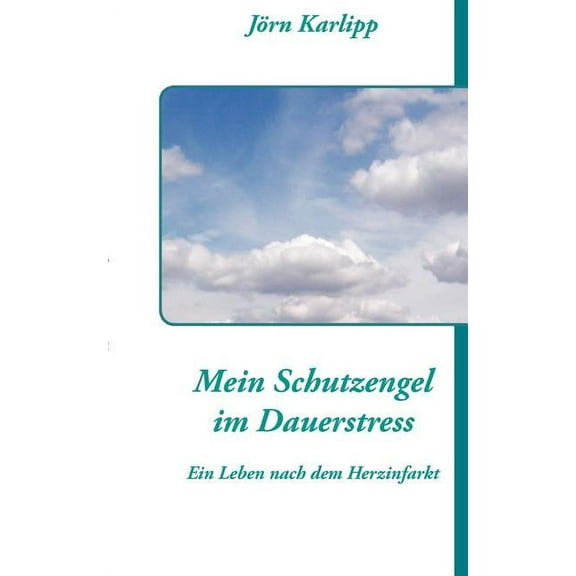 Mein Schutzengel im Dauerstress : Ein Leben nach dem Herzinfarkt und Schlaganfall (Paperback)