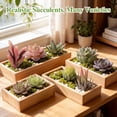 thumbnail image 3 of Yalumo Fake Succulents Assortment, 19 Pcs Unpotted Mini Artificial Succulent Plants with Flocked Texture, Realistic Faux Succulents for DIY Crafting, Home, Garden, Office & Party Decor, 3 of 7
