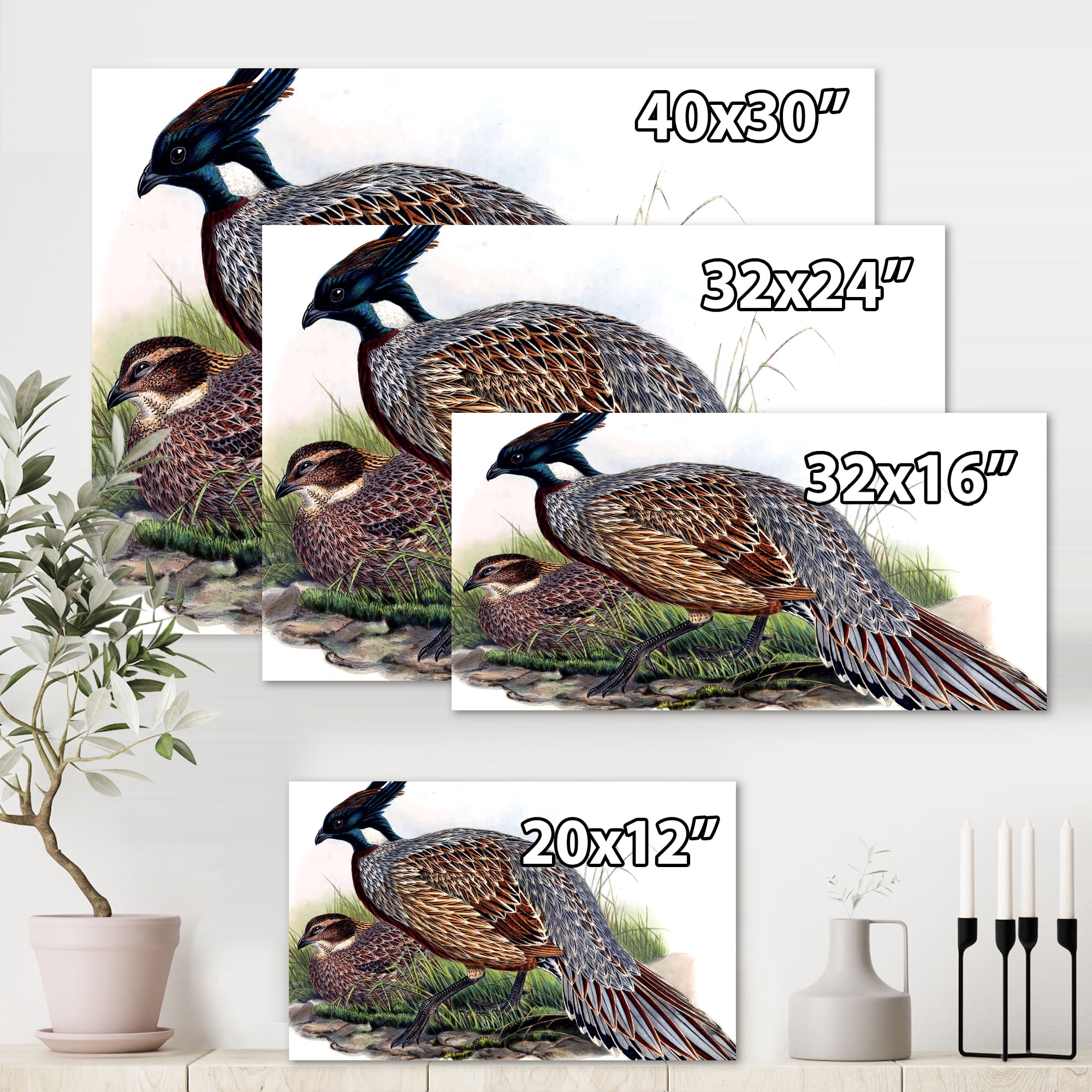 Designart ' Close Up Of Vintage Countryside Birds ' Farmhouse Canvas Wall Art Print