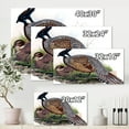 thumbnail image 4 of Designart ' Close Up Of Vintage Countryside Birds ' Farmhouse Canvas Wall Art Print, 4 of 4