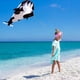thumbnail image 4 of Cometa 3D Creativa Cometas De Playa De Delfín Azul Grande Con Regalo De Parafoil Suave Sin Marco Enorme Para La Familia De Los Niños Yuarrent OD016721-01, 4 of 6