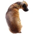 thumbnail image 2 of 3D Bend Dog Printed Throw Pillow Children Favorite Toy Cushion, 2 of 5