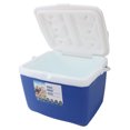 thumbnail image 1 of Caja refrigerador Portátil aislada, Caja de Almuerzo Con Refrigerador Aislado de 13L, Refrigerador Para Exteriores Un Prío de Fugas Con ASA de Transporte, Refrigerador Duro, 1 of 7
