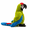 Green Macaw, variant on Parrot Plush Toy Soft Stuffed Bird Macaw Cockatoo Flamingo Toucan Room Decor Gift