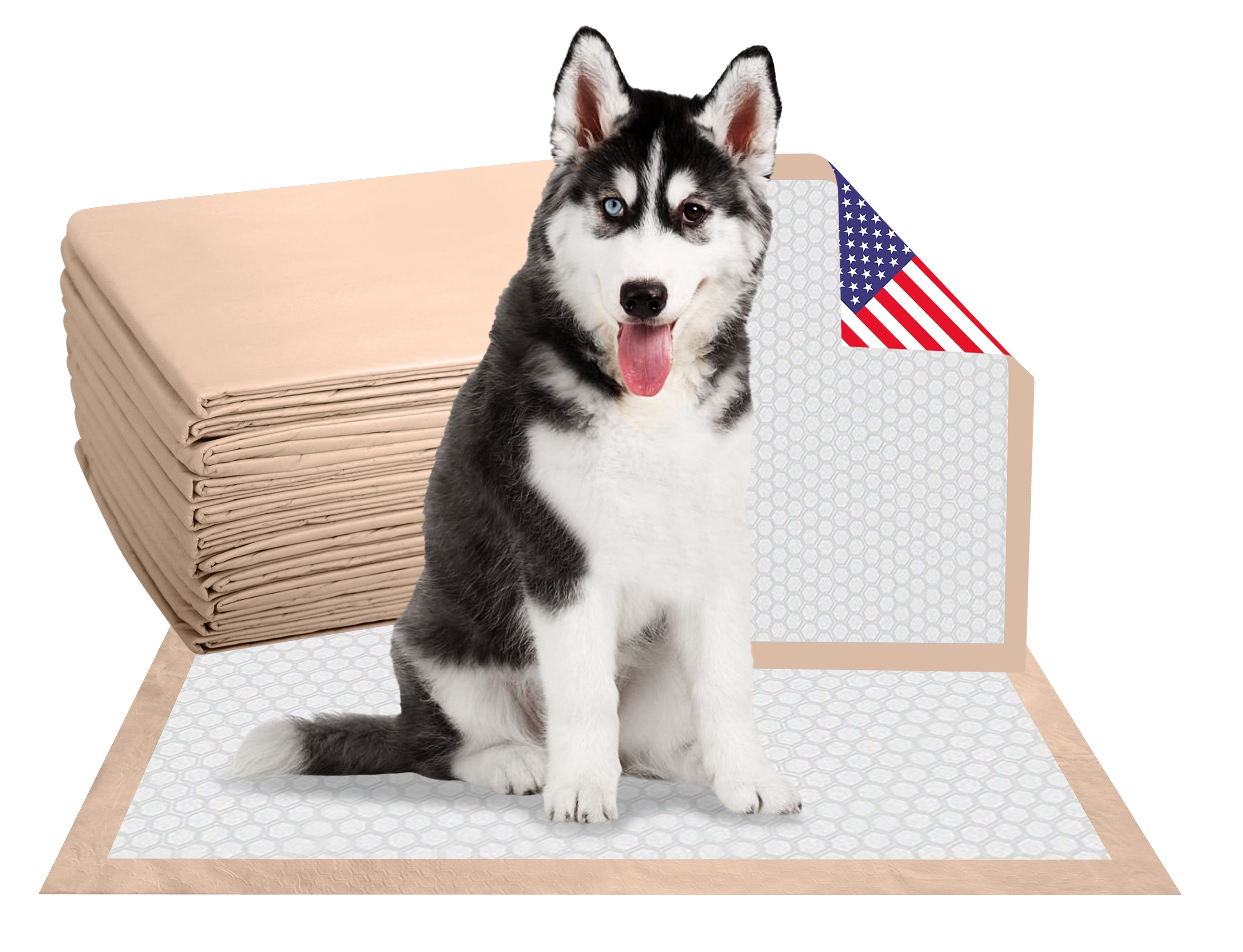 Wave LARGE Dog and Puppy Pee Pads Leak-Proof Quick-Dry Design for Potty Training, ULTRA Absorbency, Size 30" x 30", Case of 100