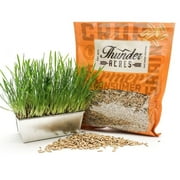 Thunder Acres Oat Seed Plant Seeds, Non-GMO, Certified Organic