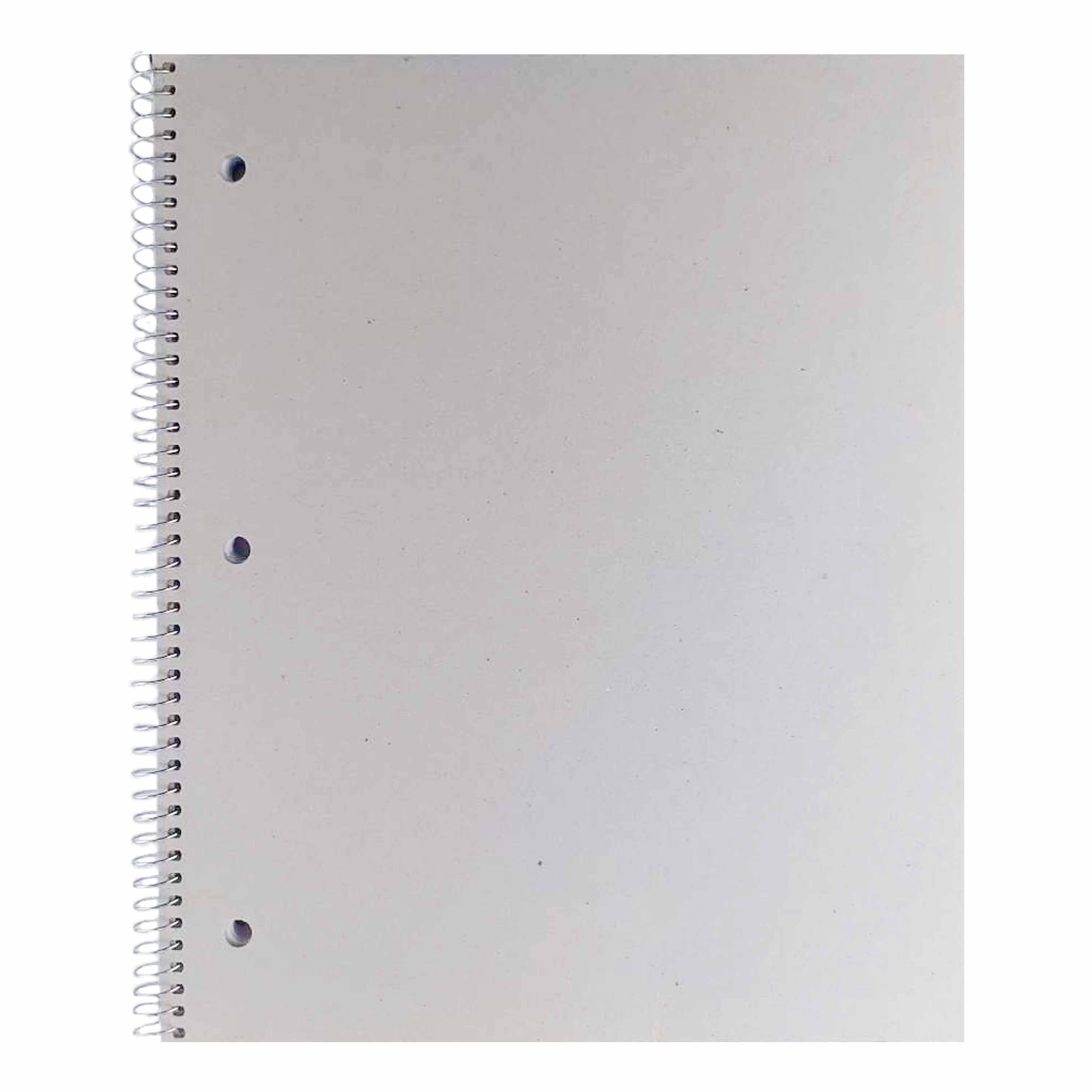 Saint Paul: 6X9 College Ruled Notebook To Write In With Skyline Of