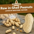 thumbnail image 3 of Trailmark Naturals - 3 Pound in shell Raw Peanuts, 3 of 7