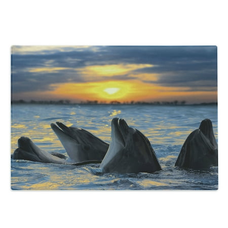 

Animal Cutting Board Photo of the Bottle Nosed Dolphins in Sunset Ocean Sea Animals Aquatic Print Decorative Tempered Glass Cutting and Serving Board Large Size Blue Grey Orange by Ambesonne