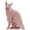 Pink, variant on HQREA Warm Sphynx Cat Clothes Fleece Cat Sweaters for Cats Only for Hairless Cat Outfit