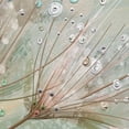 thumbnail image 3 of Masterpiece Art Gallery Dewdrop Colors Prairie Smoke by Studio Arts Canvas Art Print 30" x 40", 3 of 4