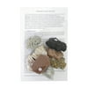 Scott Resources Sedimentary Rock Set, 2 X 1-1/2 in, Set of 8