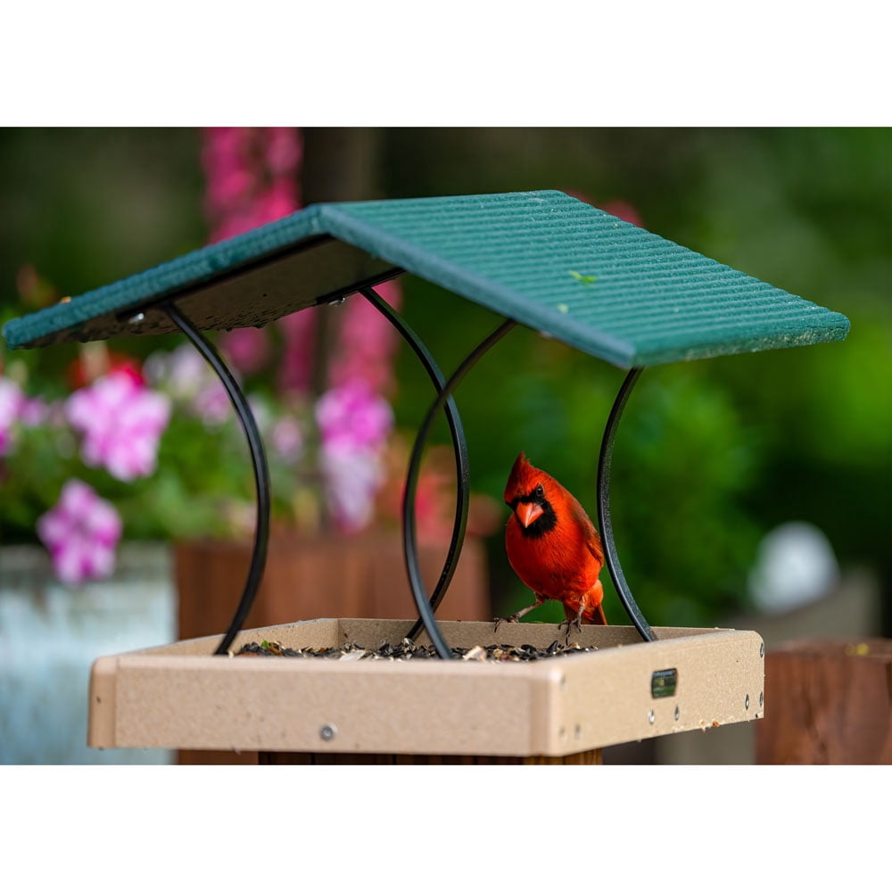 Birds Choice Green and Beige Fly-Thru Platform Bird Feeder