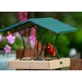 thumbnail image 6 of Birds Choice Green and Beige Fly-Thru Platform Bird Feeder, 6 of 10