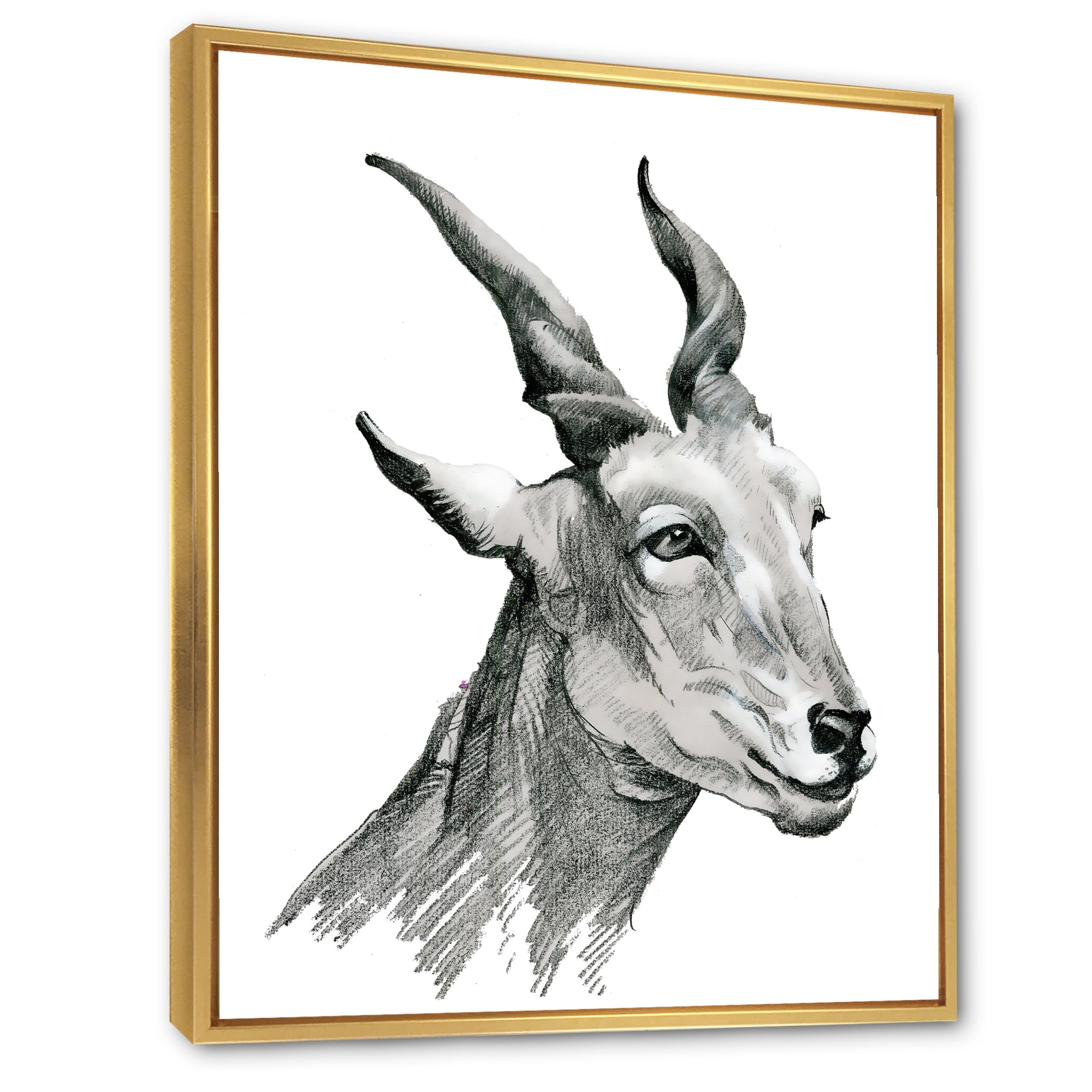 Designart 'Black and White Portrait Of Goat I' Farmhouse Framed Canvas Wall Art Print