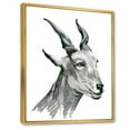 thumbnail image 3 of Designart 'Black and White Portrait Of Goat I' Farmhouse Framed Canvas Wall Art Print, 3 of 5