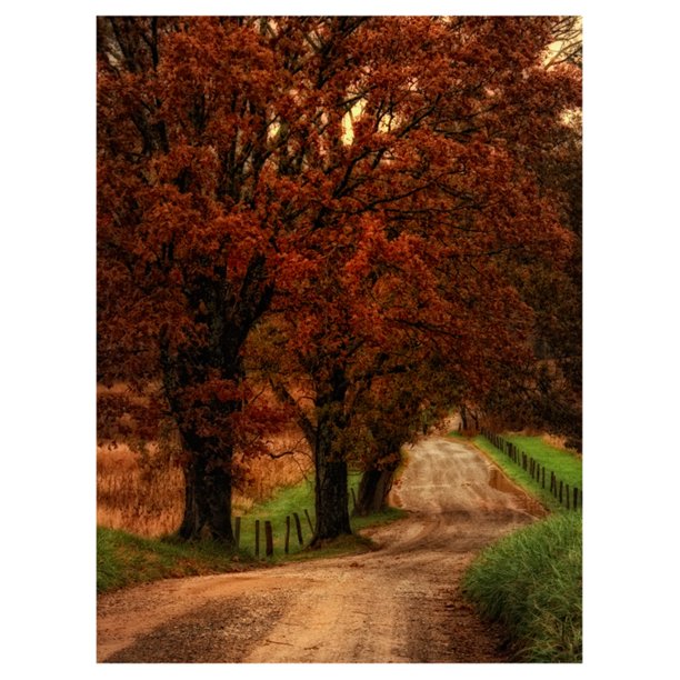Art Effects Dirt Road Canvas Wall Art Walmart Com Walmart Com