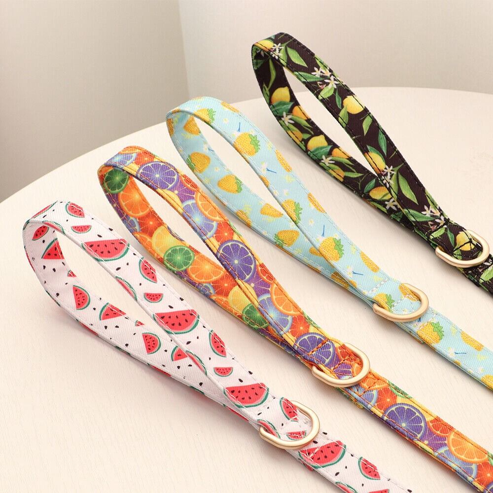 Pet Artist Cute Girl Dog Harness Dress and Leash set Fancy Summer Small Pet Cat Vest Clothes