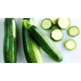 thumbnail image 4 of SHIQI-- Zucchini Tsukesha Green Squash Heirloom Vegetable for Planting, 4 of 4
