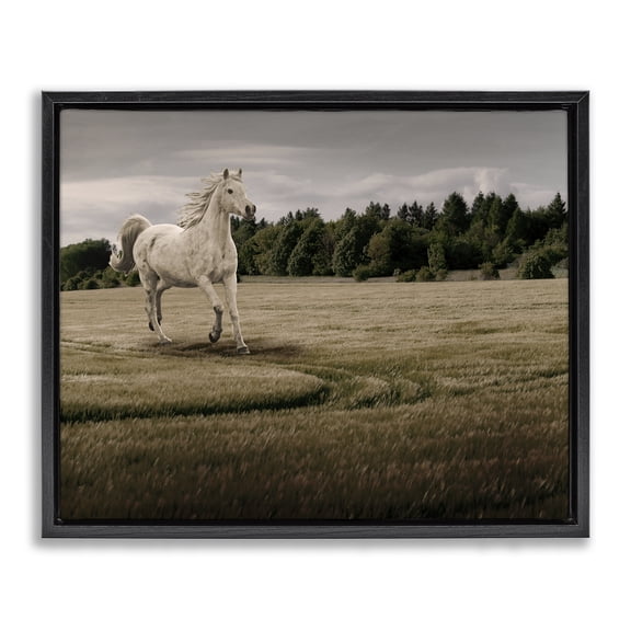 Stupell Industries Galloping Through Field Horse Black Framed Floater Canvas Wall Art design by Marcus Prime, 17 x 21