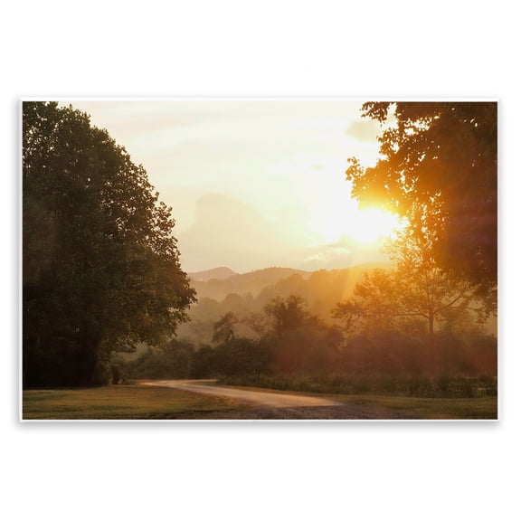 Stupell Industries Golden Morning Between Trees Wall Plaque Art, design by Gail Peck