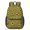Sunflower and Petal Green Pattern, variant on Sunflower and Outline White Pattern 17" Waterproof Oxford School Backpacks for Teens, S-Shape Padded Straps, for School, Travel, Hiking, Camping