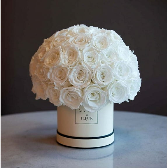 Mushroom Collection - Premium preserved roses