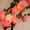 A, variant on Valentine’s Day Rose LED String Lights – Rattan Vine Decorative Lights for Bedroom, Party, or Home Decor – 59in 10 LEDs Romantic Ambient Fairy Lights