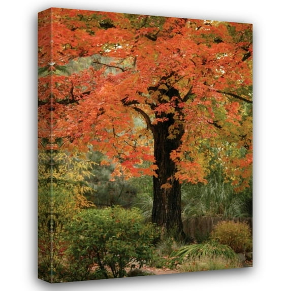 Vitaly Geyman 14x18 Gallery Wrapped Canvas Wall Art Titled - Fall Maple Fever III