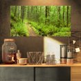 thumbnail image 1 of Sentier Forestier Luxuriant Rivière Columbia - Impression d'Art Mural sur Toile Forestière, 1 of 3