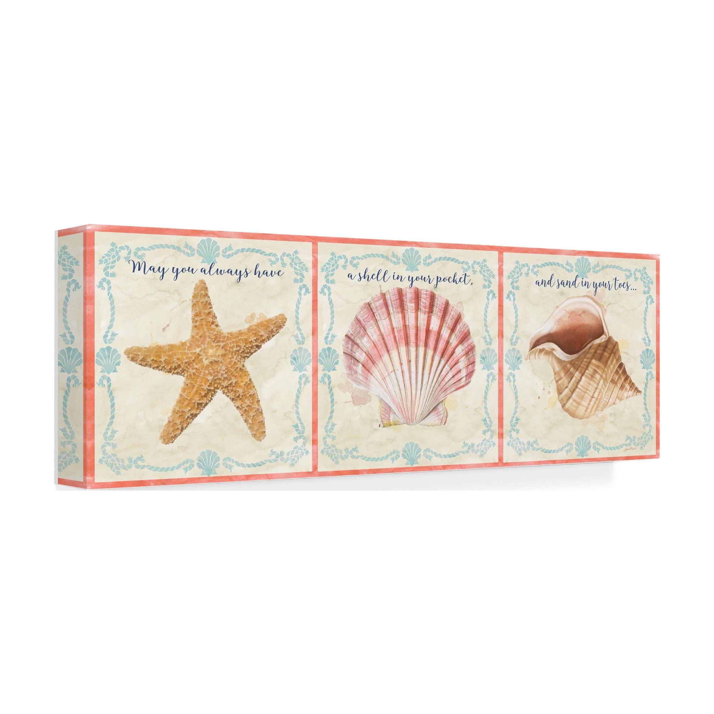 Trademark Fine Art 'Sea Shells 4' Canvas Art by Jean Plout