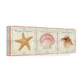 thumbnail image 4 of Trademark Fine Art 'Sea Shells 4' Canvas Art by Jean Plout, 4 of 4