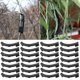 thumbnail image 5 of 20PCS Fruit Tree Shaper Branch Bender Plant Trainer Bending Clips Clamps Bonsai Shaped Clip Bending, 5 of 5