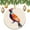 pattern-2144, variant on Farmhouse Pheasant Watercolor Christmas Tree Ornaments Animal Pheasant Funny Christmas Ornaments Christmas Decorations Ceramic Ornaments