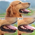 thumbnail image 4 of Juego de 5 piezas con caja: kit de limpieza dental para perros, herramientas orales de acero inoxidable, herramientas de limpieza dental para mascotas., 4 of 5