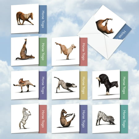 MQ4171OCB-B1x10 Horse Yoga: 10 Assorted, Blank Square-Top, All Occasions Notecards Featuring Images of Various Breeds of Horses Engaged in Challenging Yoga Poses, with Envelopes by The Best Card (Best Trail Horse Breeds)